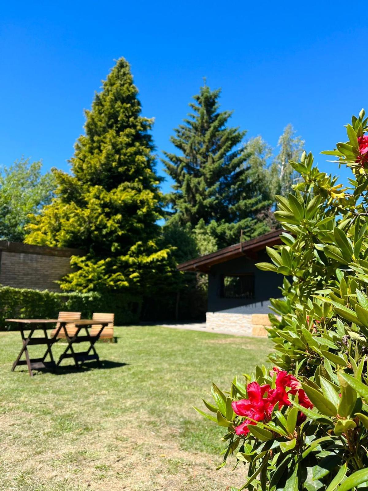 Las Vinas Hostel Boutique Сан Карлос де Барилоче Екстериор снимка